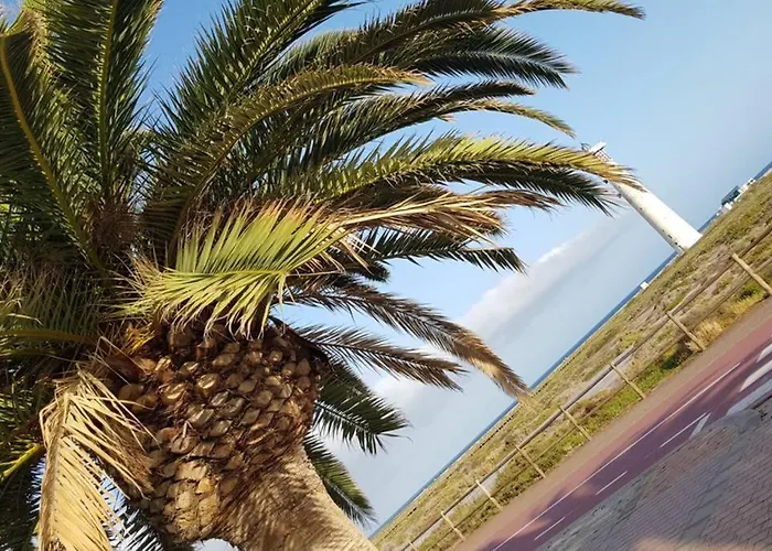 Front Jandia * مورو ذيل خابلِ