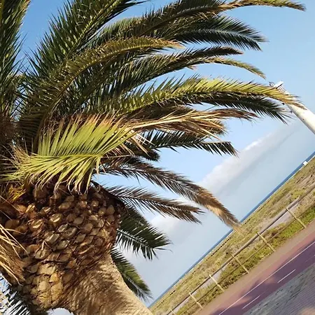 Front Jandia * Morro Jable (Fuerteventura)